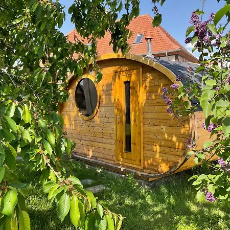 Gite Au Sauna De L'Aubach Scherwiller Esterno foto